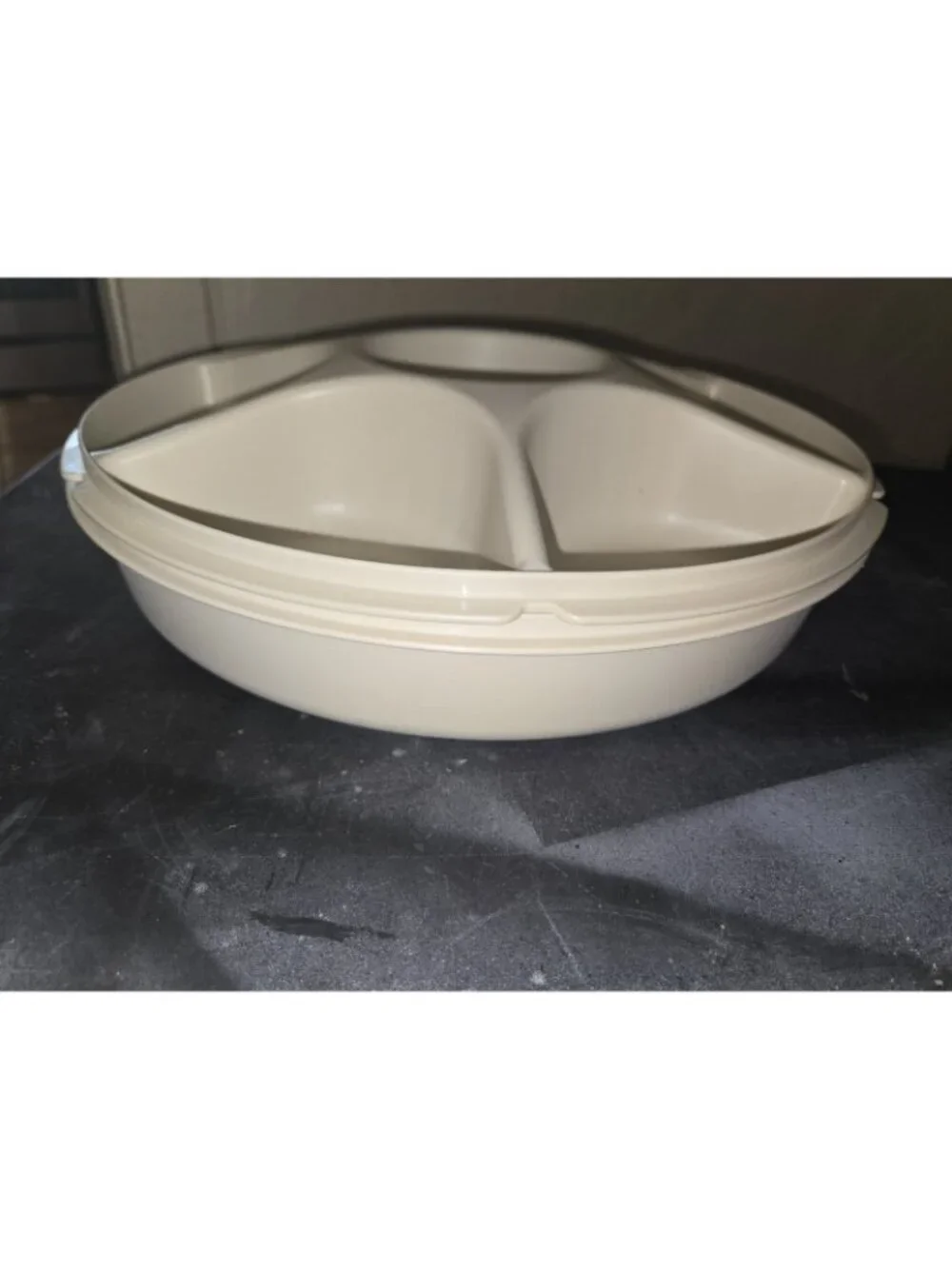 VTG Tupperware Almond Divided Veggie Fruit Serving Tray #1666 WITH LID #1665